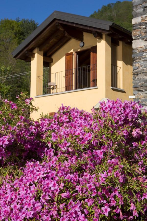 Violina Casa Vacanze Pettenasco Exterior photo